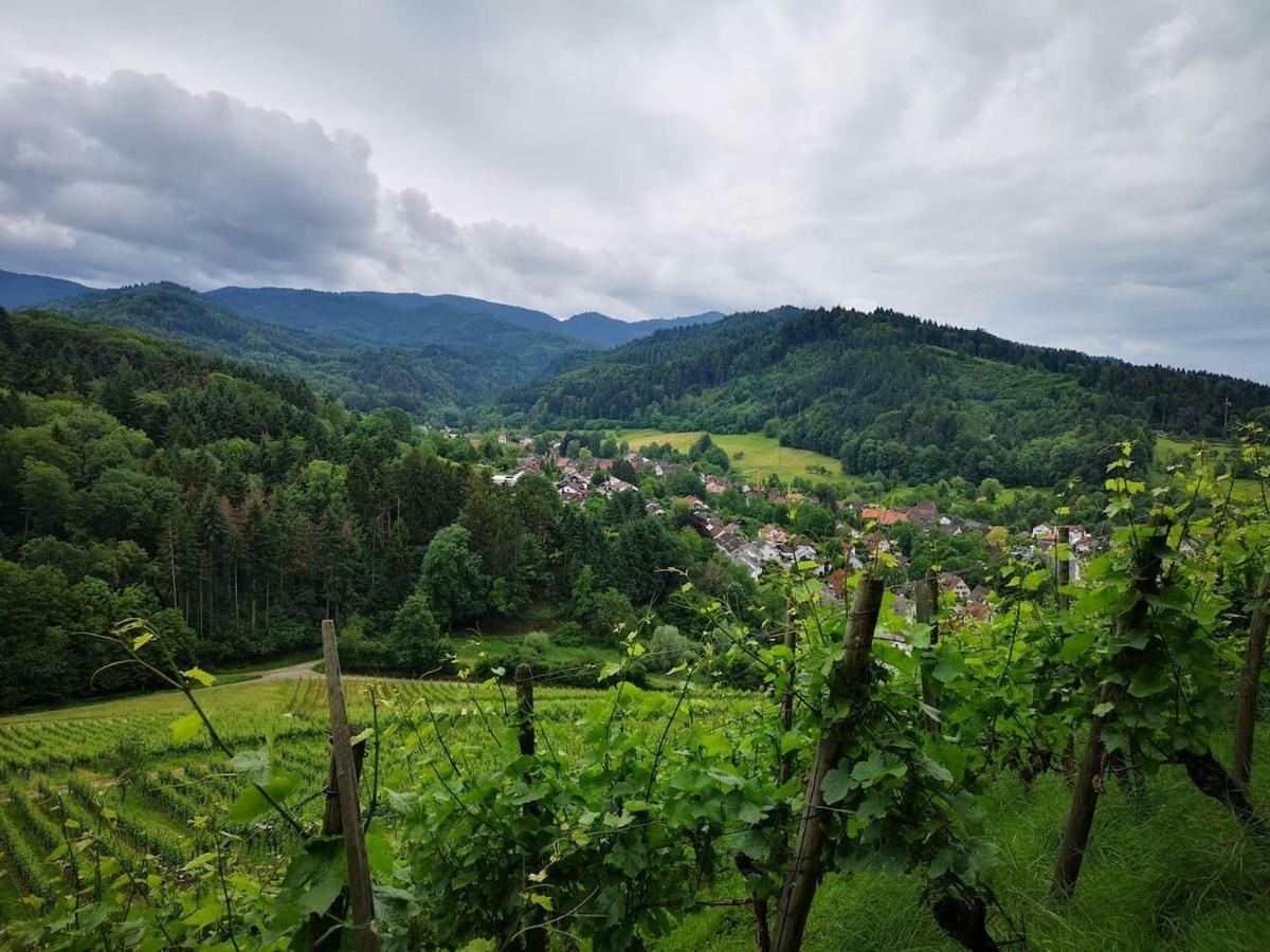 Casa Luna Döttingen Esterno foto